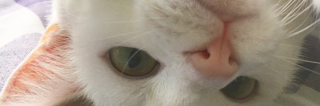 AnnaWijs's profile banner image