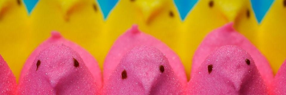 onestpahd's profile banner image