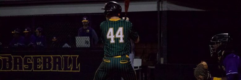 Davis Collier banner