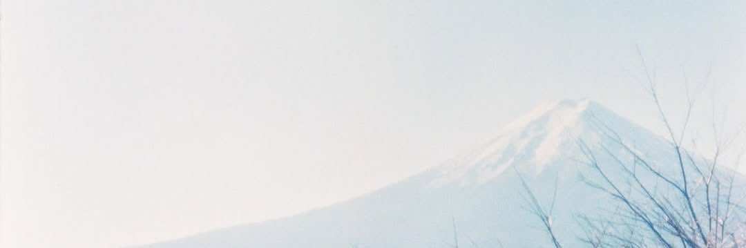bblyb🫧's banner
