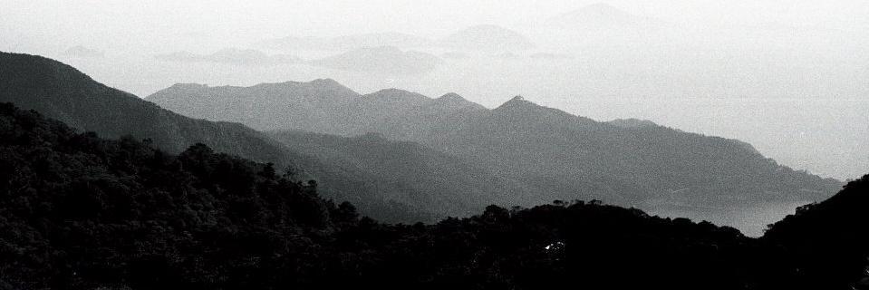 dave_yim's profile banner image