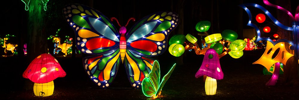 BFlutterby's profile banner image