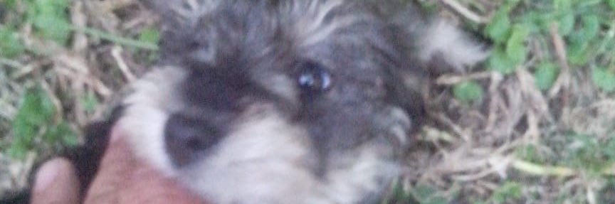 rotten_grrrl's profile banner image
