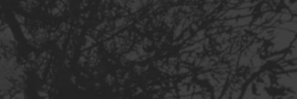 pmhut's profile banner image