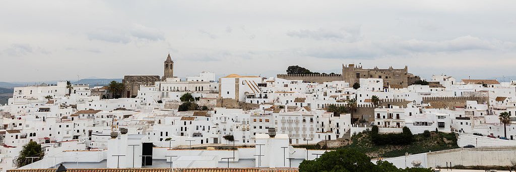 Viva_Vejer's profile banner image