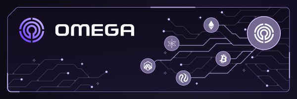 HiddenLiquidity Profile Banner