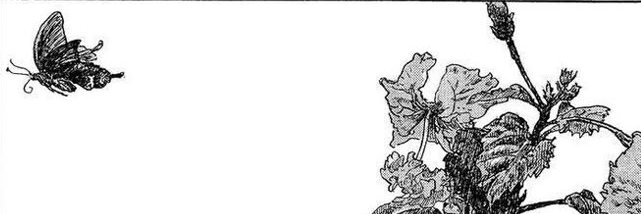 apollo ♡ banner
