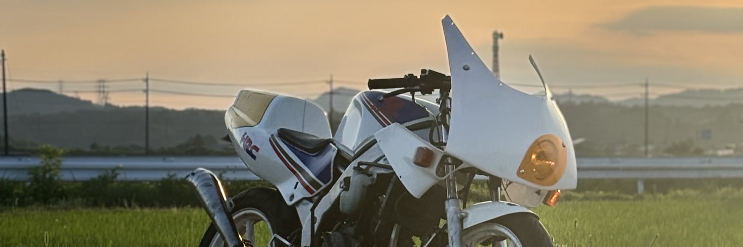pingugu89's profile banner image