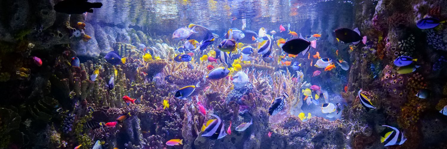 New England Aquarium banner