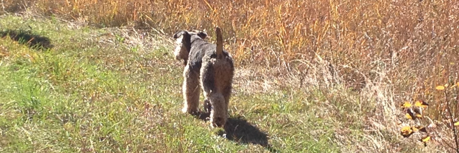 Robin Marwick (gone away) banner