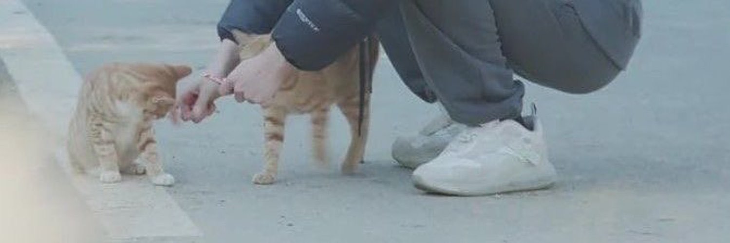skz___aa's profile banner image