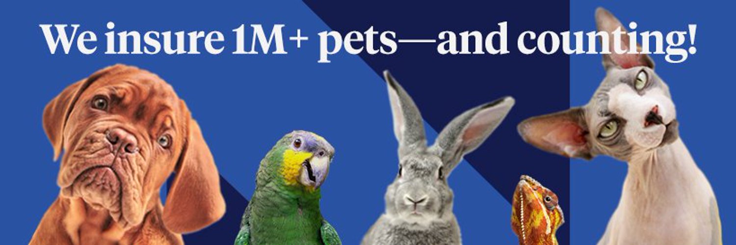 Nationwide Pet (NationwidePet) / Twitter