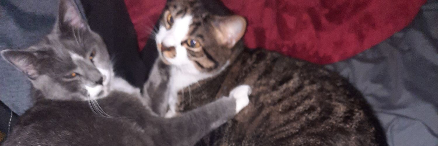 CarolinaBlondeWD banner