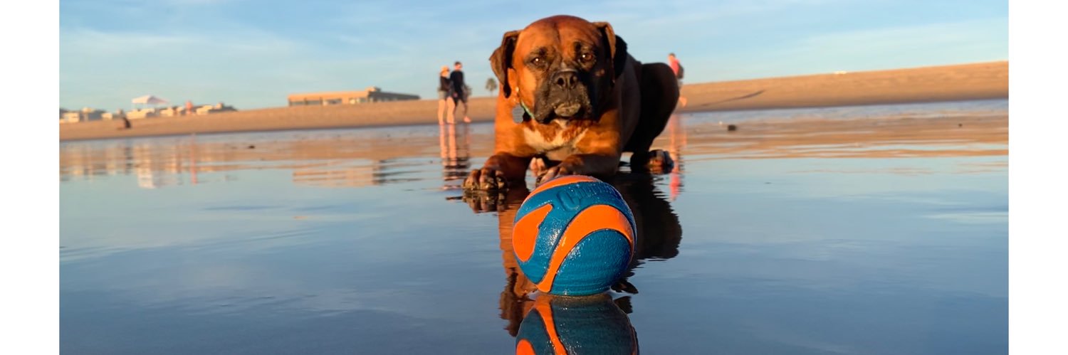 mandi perkins banner