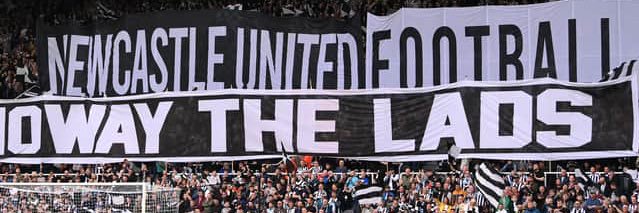 D banner