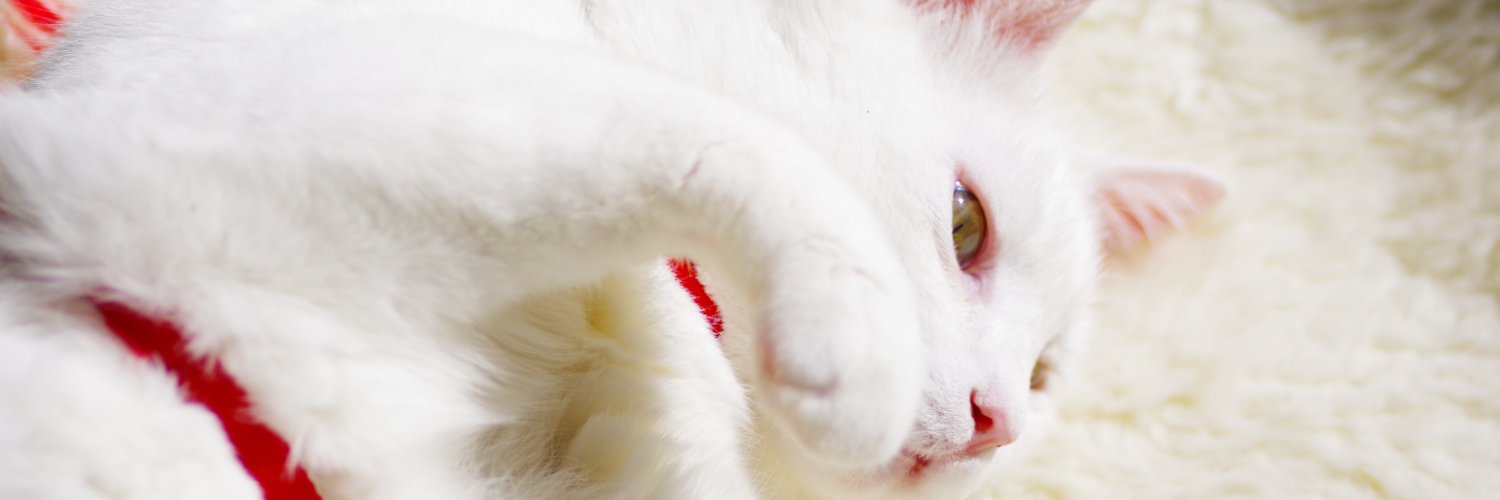 emii2911's profile banner image