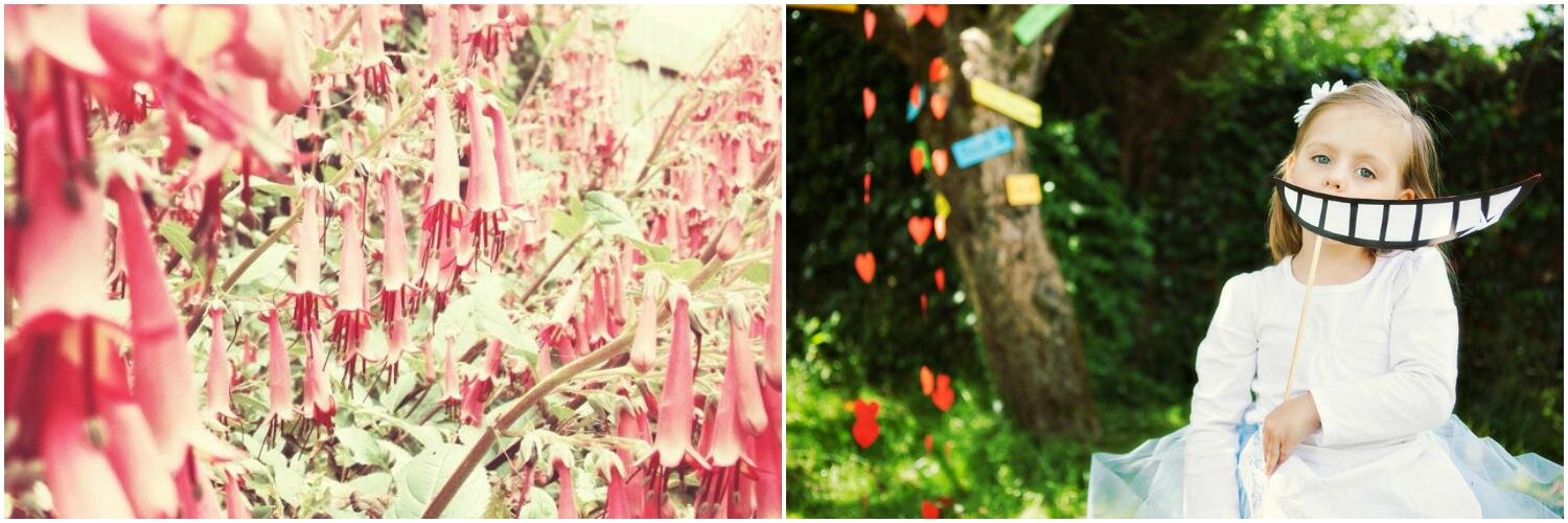 farrowphoto's profile banner image