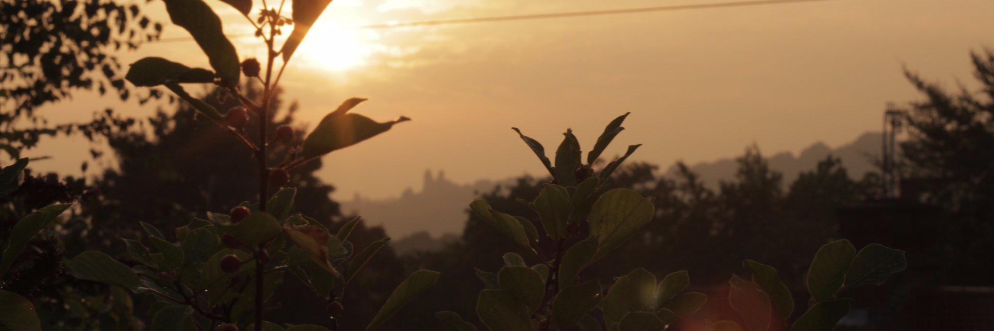 WillPattenden's profile banner image