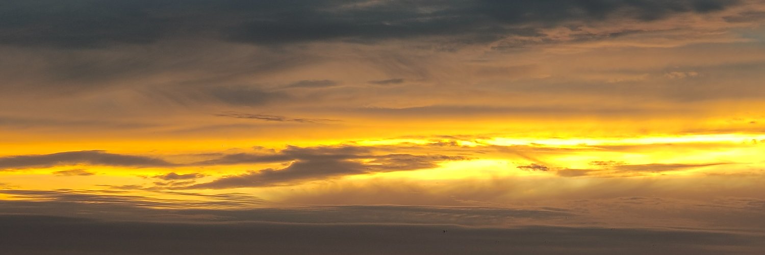 laviectop's profile banner image