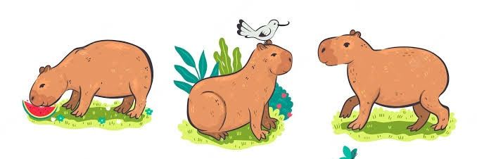 Capybara banner