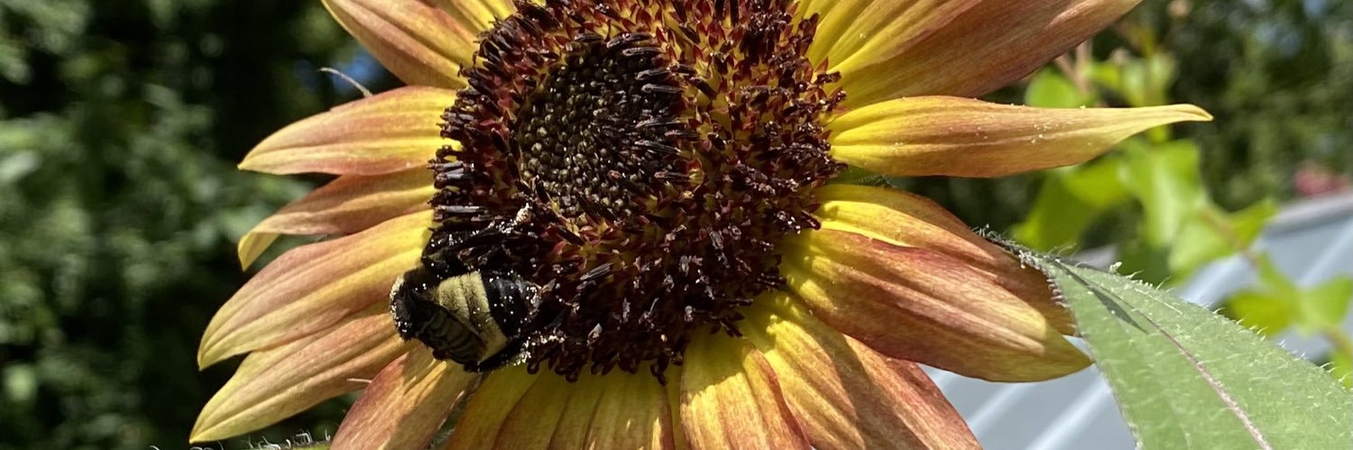jackarae's profile banner image