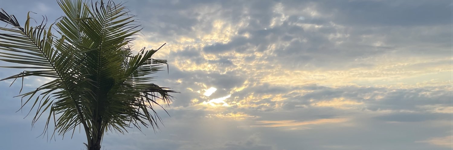 _marianafr's profile banner image