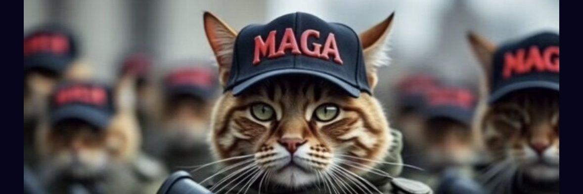 Ginger 🇺🇲 🇮🇪 banner