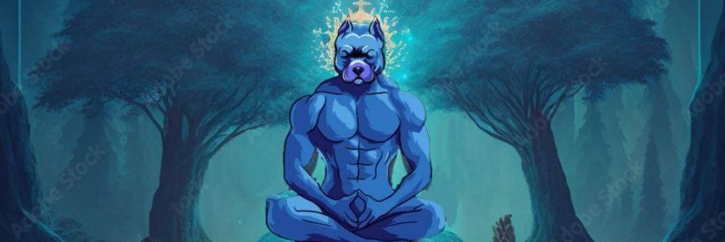 Maverick 🛡️ banner