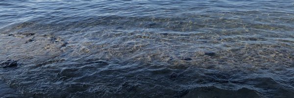 TaniaThompson Profile Banner