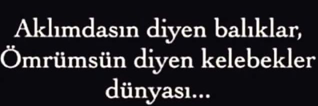 dldemet's profile banner image