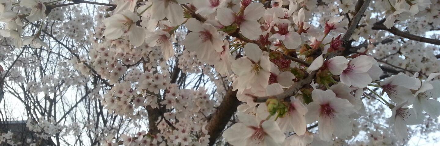 v sujay kumar banner