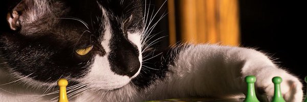 retardedquant_ Profile Banner