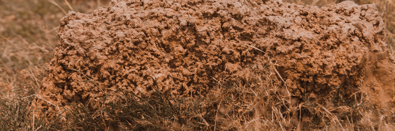 Zecha54's profile banner image