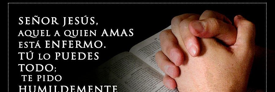 carinarocca's profile banner image