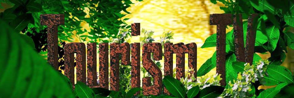 Oyibi Laz banner