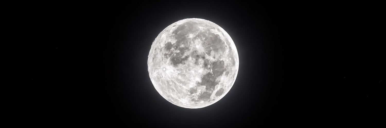 moongingery's profile banner image