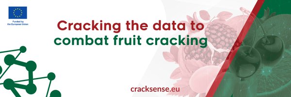 CrackSenseHE Profile Banner