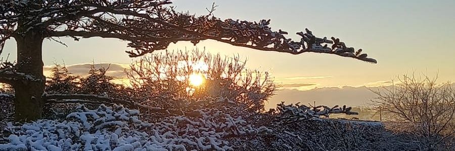rhamill79 banner