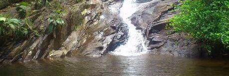 Proscovia L Lemke banner