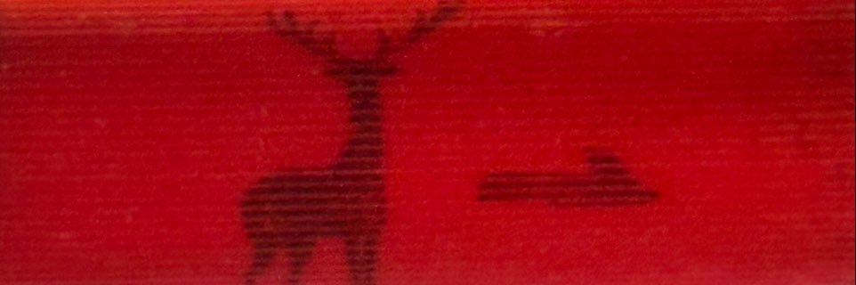 MS banner