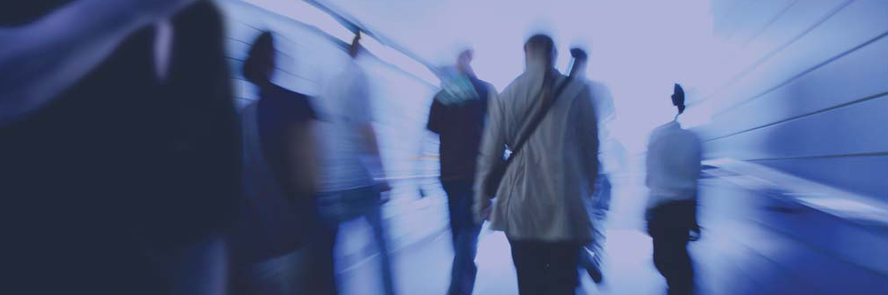 Cerberusecurity's profile banner image