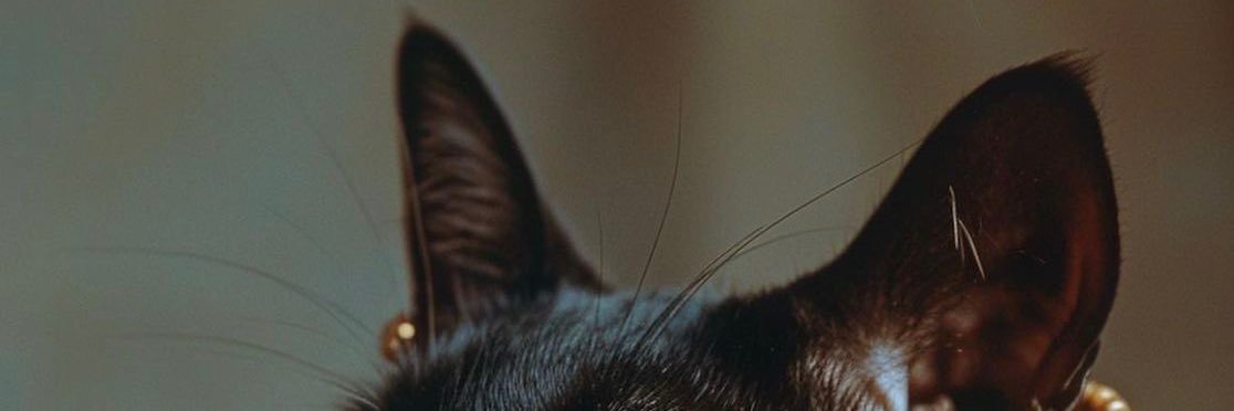 sadyaevren's profile banner image
