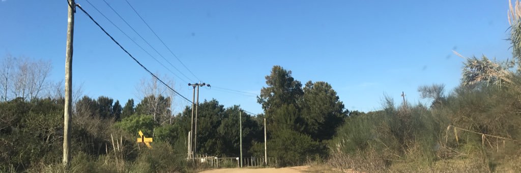gomadejorge's profile banner image