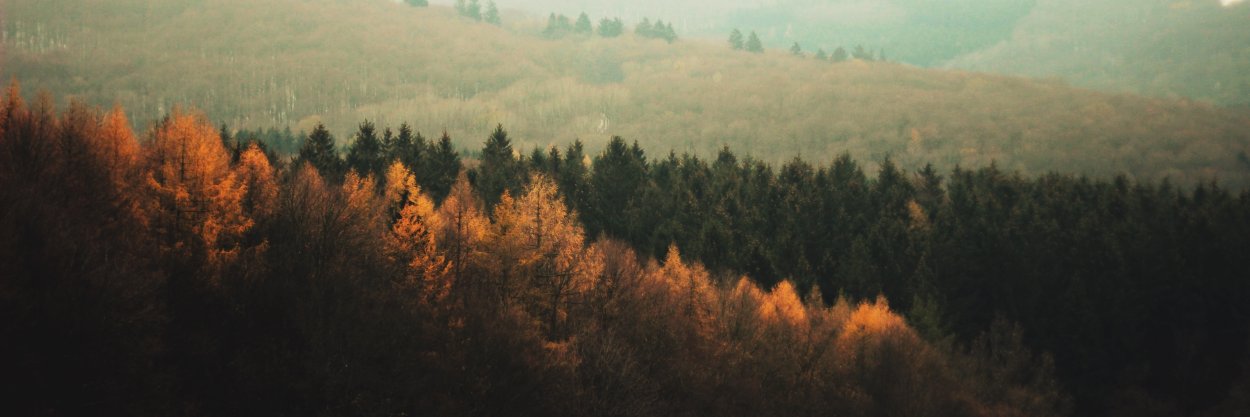denaonfocus's profile banner image