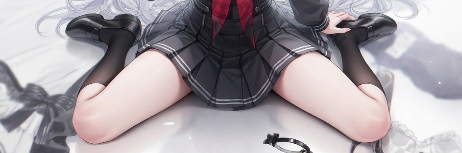 Polaris banner