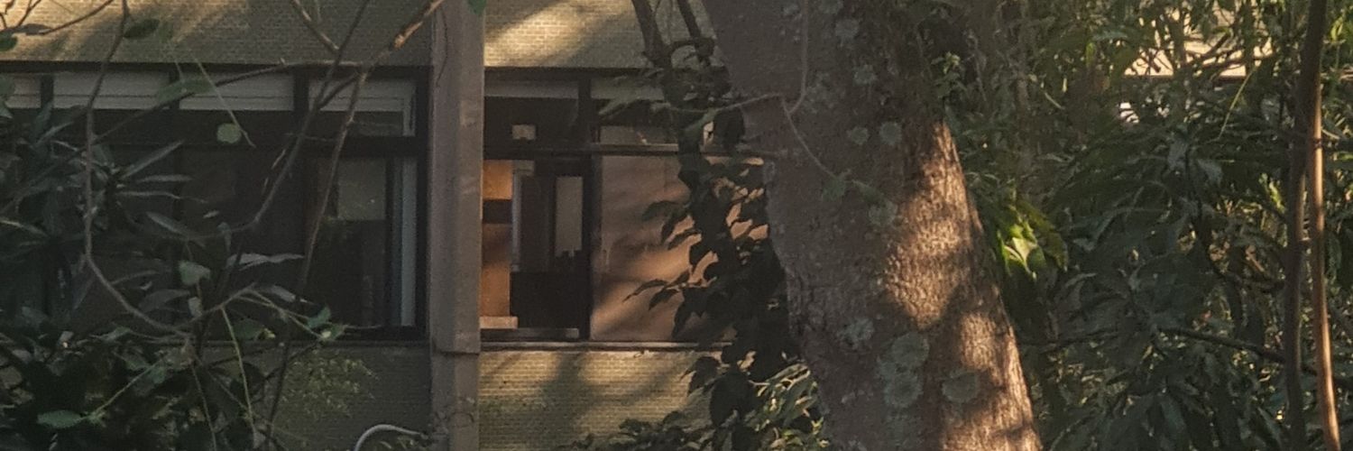 mondriiann's profile banner image