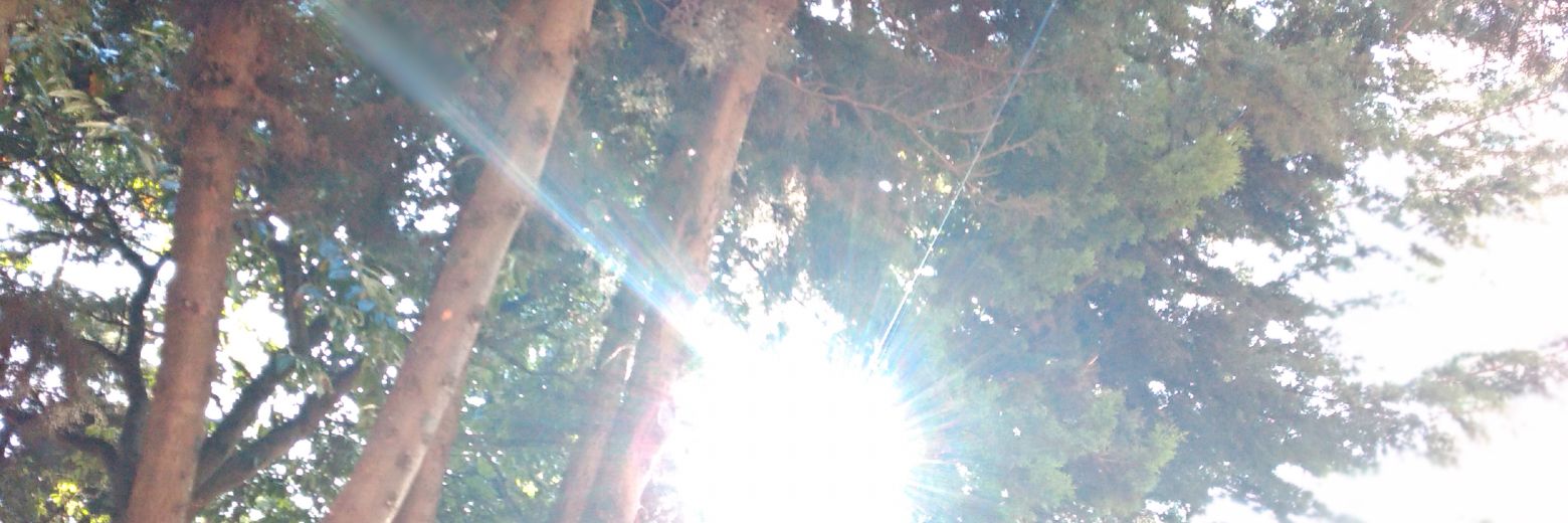 Fabián Rodríguez banner