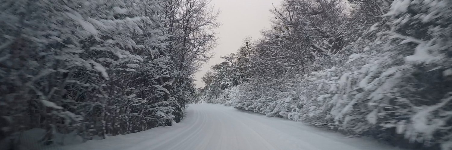 osjng's profile banner image