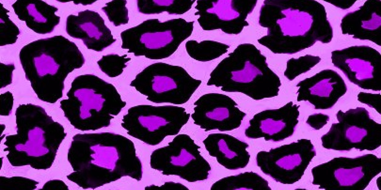 Leopardbelle's profile banner image