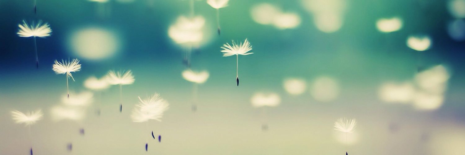 MrsJacintaHunt's profile banner image